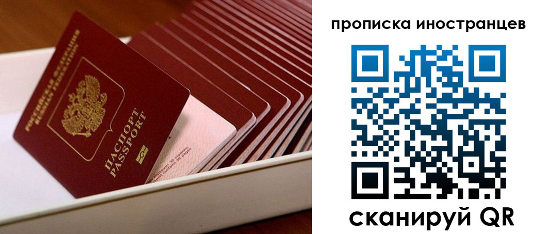 пропишу в квартире в Шахтах